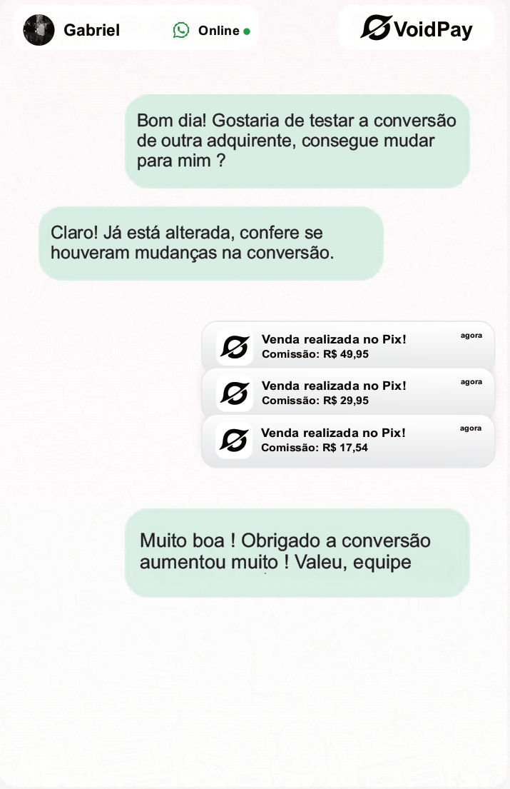 Chat conversation with VoidPay manager showing support and sales updates